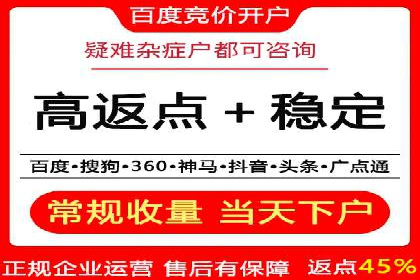 竞价推广实战：成功案例背后的技巧揭秘